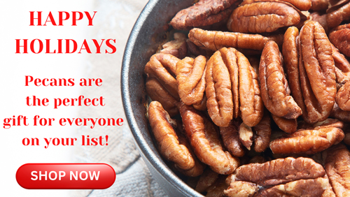 Christmas Pecan Gifts